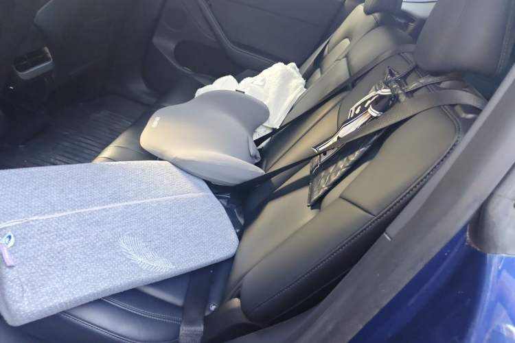 Used Tesla Model Y 2022 Revised Version Rear-Wheel Drive Left Rear Seat