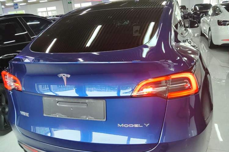 Used Tesla Model Y 2022 Rear-Wheel-Drive Version Rear