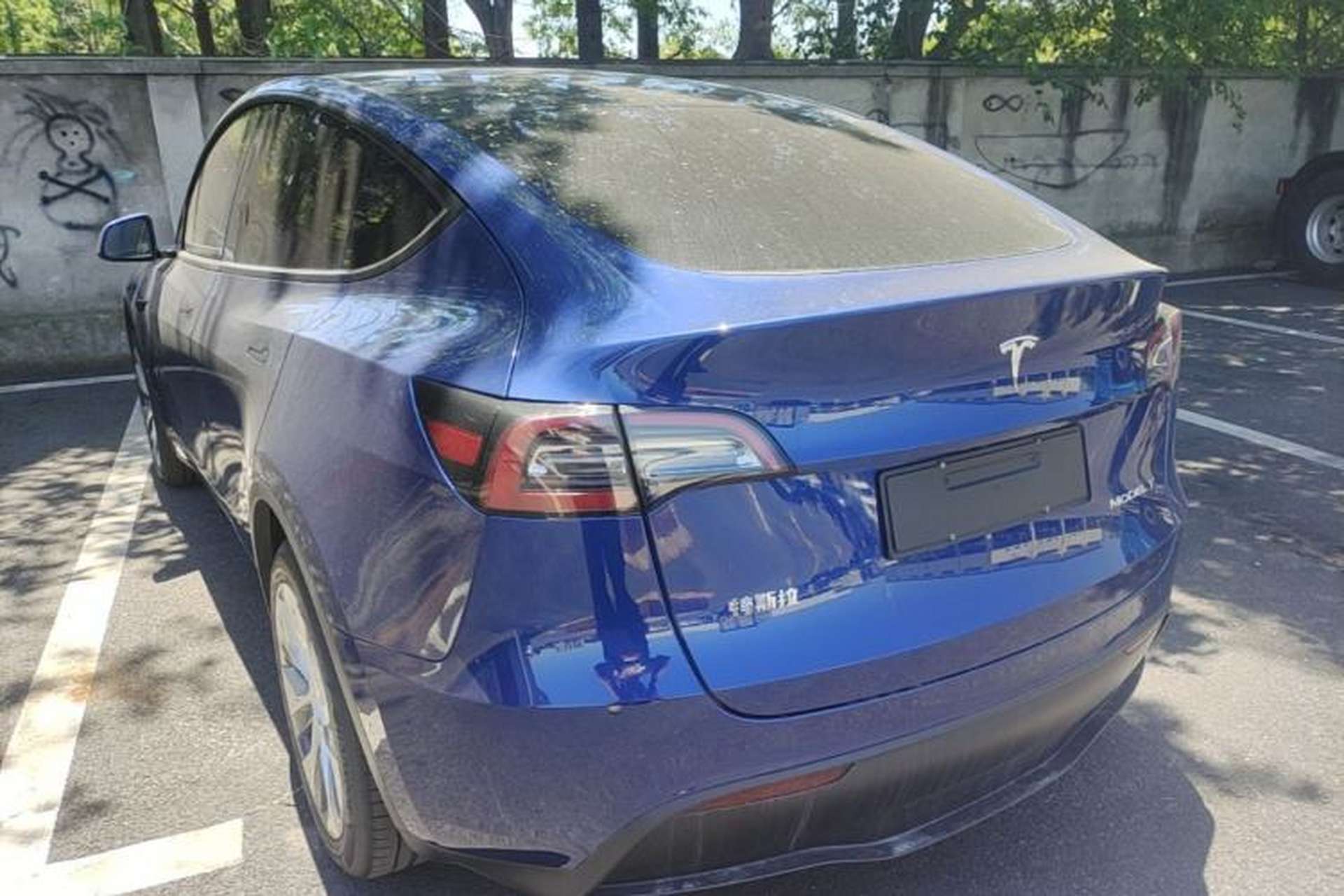 Used Tesla Model Y 2022 Revised Version Long-Range All-Wheel Drive Rear Left 45 Deg