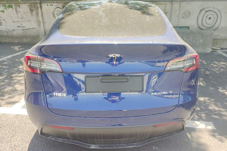 Used Tesla Model Y 2022 Revised Version Long-Range All-Wheel Drive Rear