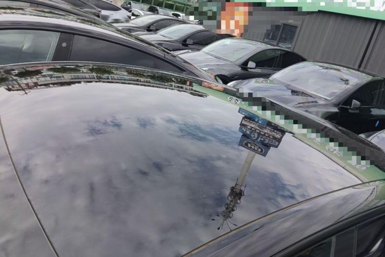 Used Tesla Model Y 2022 Revised Version Rear-Wheel Drive Roof