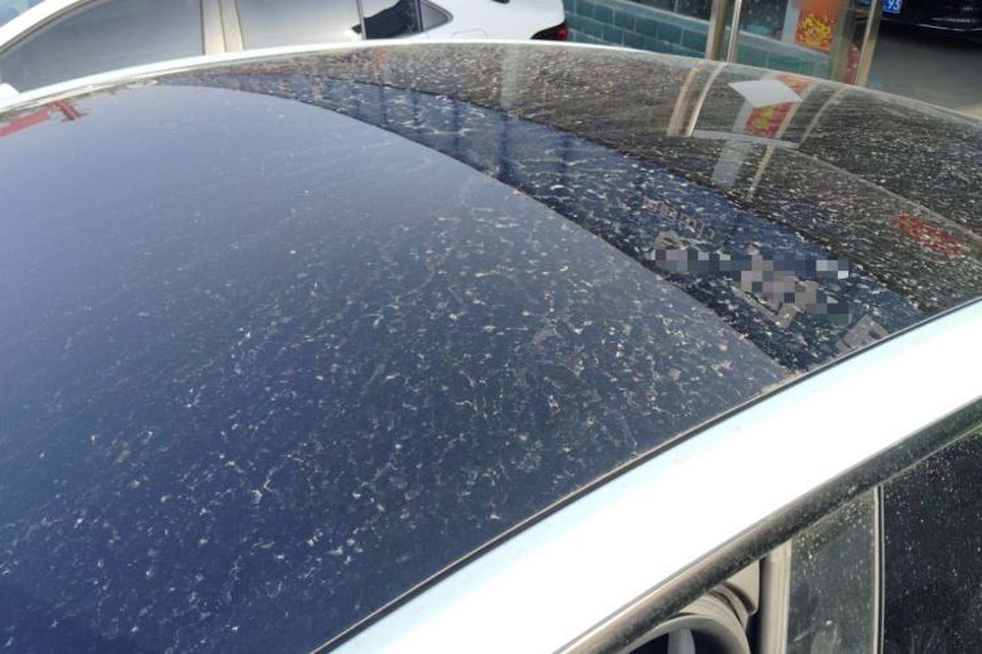 Used Tesla Model Y 2022 Revised Version Rear-Wheel Drive Roof