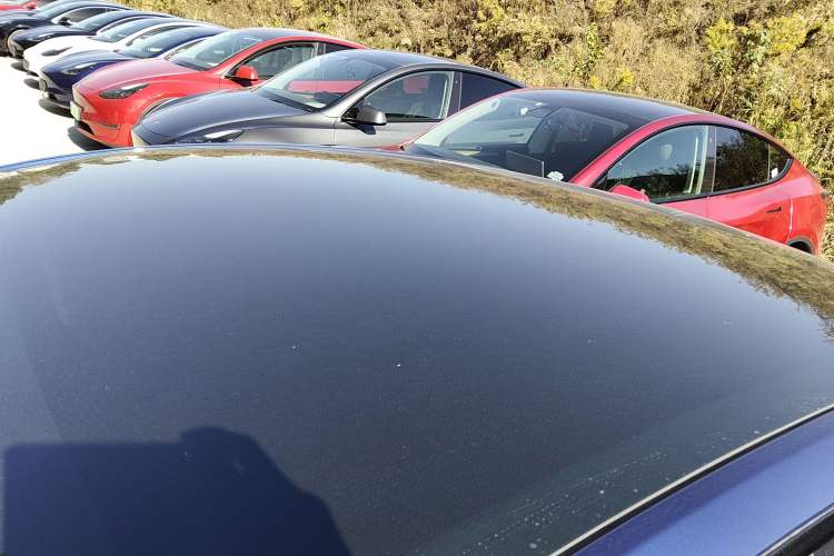 Used Tesla Model Y 2022 Long-Range All-Wheel-Drive Version Roof