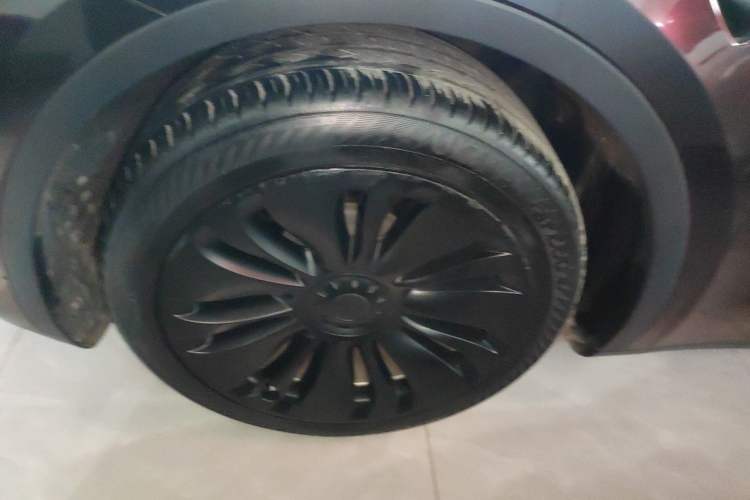 Used Tesla Model Y 2022 Long-Range All-Wheel-Drive Version Exterior 7