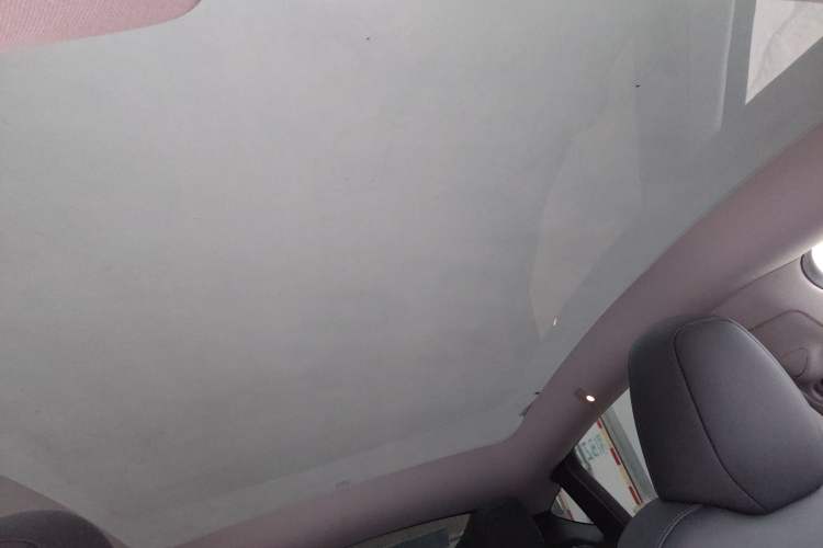 Used Tesla Model Y 2022 Revised Version Rear-Wheel Drive Headliner