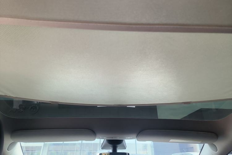 Used Tesla Model Y 2022 Revised Version Rear-Wheel Drive Headliner