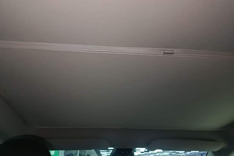 Used Tesla Model Y 2022 Rear-Wheel-Drive Version Headliner