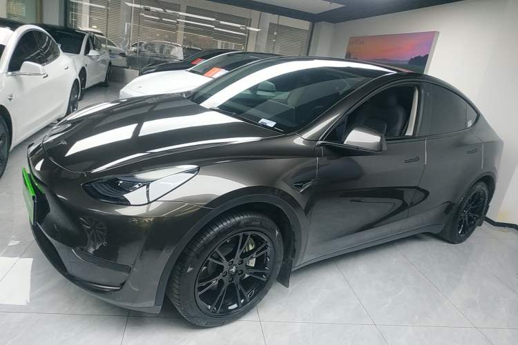 Used Tesla Model Y 2022 Revised Version Rear-Wheel Drive Left Side