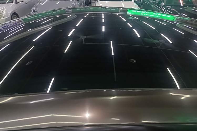 Used Tesla Model Y 2022 Rear-Wheel-Drive Version Roof