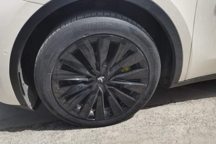Used Tesla Model Y 2022 Rear-Wheel-Drive Version Exterior 4