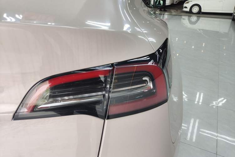 Used Tesla Model Y 2022 Rear-Wheel-Drive Version Exterior 6