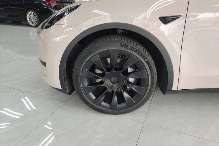 Used Tesla Model Y 2022 Rear-Wheel-Drive Version Exterior 7