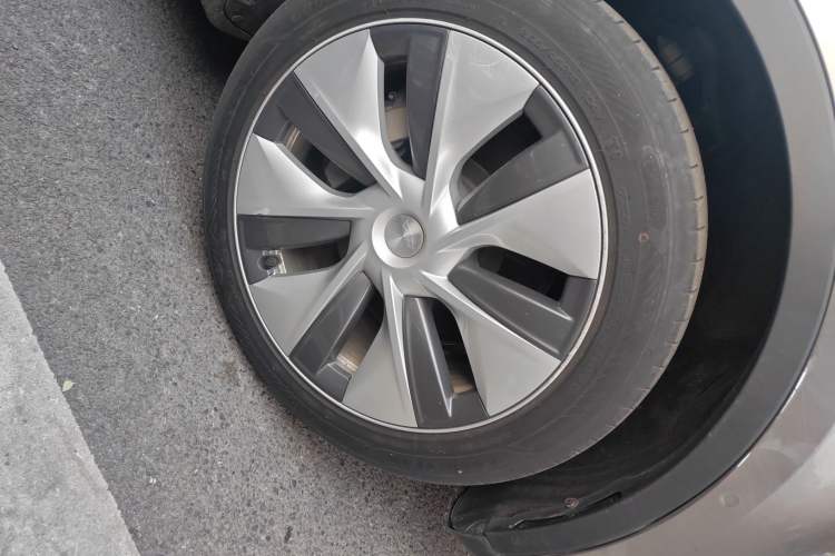 Used Tesla Model Y 2022 Revised Version Rear-Wheel Drive Exterior 7