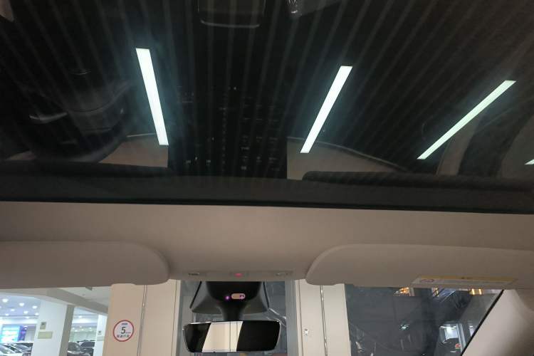 Used Tesla Model Y 2022 Rear-Wheel-Drive Version Headliner