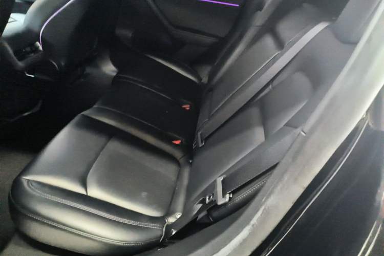 Used Tesla Model Y 2022 Revised Version Rear-Wheel Drive Left Rear Seat