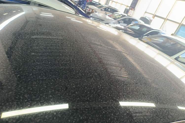 Used Tesla Model Y 2022 Revised Version Rear-Wheel Drive Roof