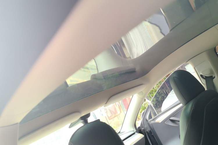 Used Tesla Model Y 2022 Rear-Wheel-Drive Version Headliner