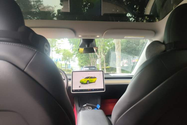 Used Tesla Model Y 2022 Long-Range All-Wheel-Drive Version Headliner