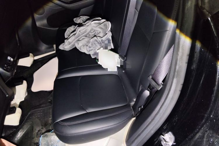 Used Tesla Model Y 2022 Revised Version Rear-Wheel Drive Left Rear Seat