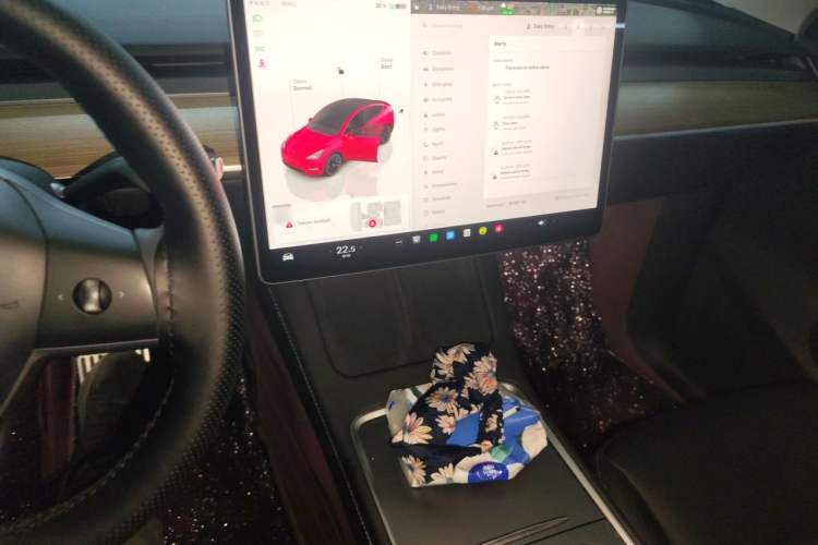 Used Tesla Model Y 2022 Revised Version Rear-Wheel Drive Audio And AC Panel