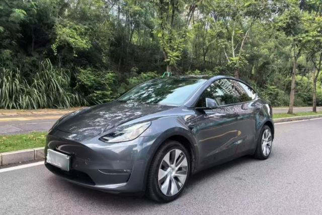 Tesla Model Y 2022 Long-Range All-Wheel-Drive Version usado