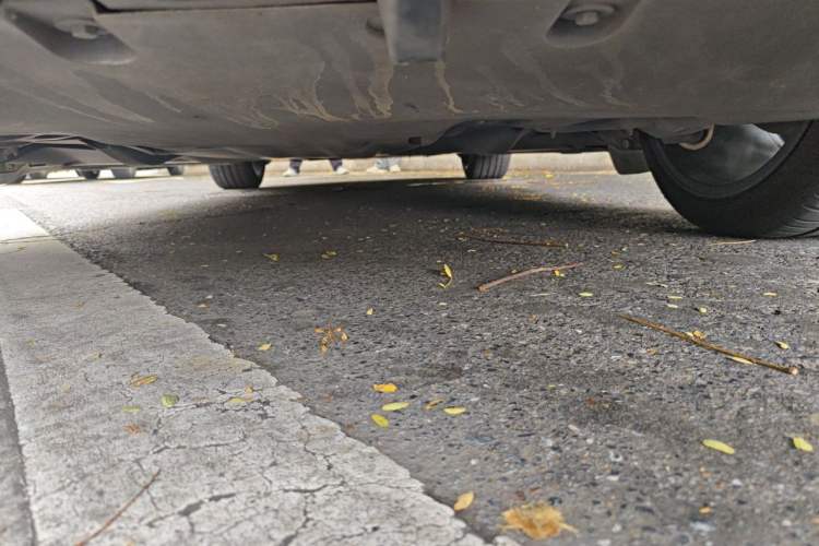 Used Tesla Model Y 2022 Rear-Wheel-Drive Version Chassis Rear
