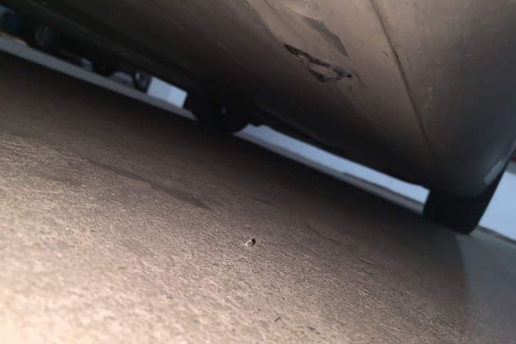 Used Tesla Model Y 2022 Performance High-Performance All-Wheel-Drive Version Chassis Rear Right