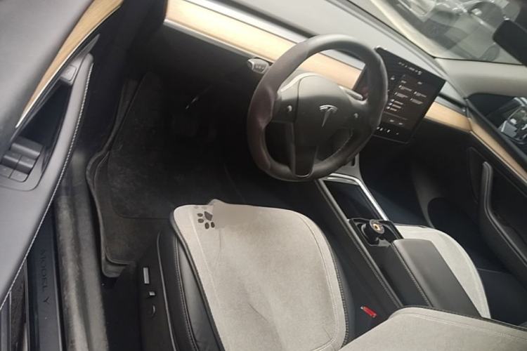 Used Tesla Model Y 2022 Rear-Wheel-Drive Version Driver Seat