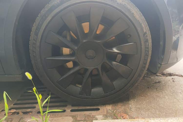 Used Tesla Model Y 2022 Rear-Wheel-Drive Version Exterior 1