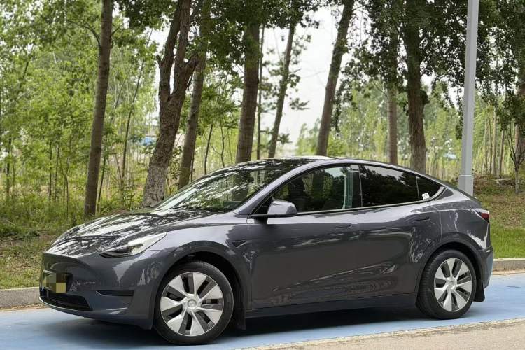 Used Tesla Model Y 2022 Revised Version Rear-Wheel Drive Exterior 2