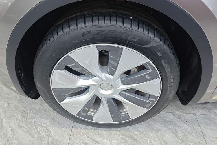 Used Tesla Model Y 2022 Rear-Wheel-Drive Version Exterior 2