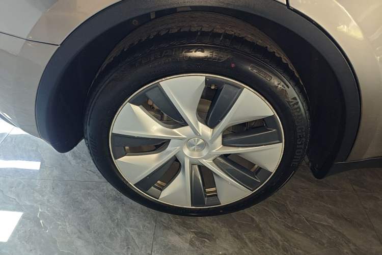Used Tesla Model Y 2022 Rear-Wheel-Drive Version Exterior 3