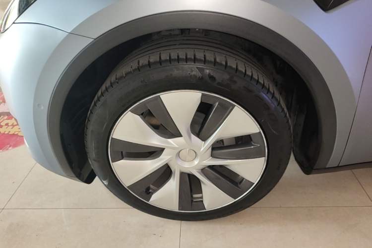 Used Tesla Model Y 2022 Rear-Wheel-Drive Version Exterior 4