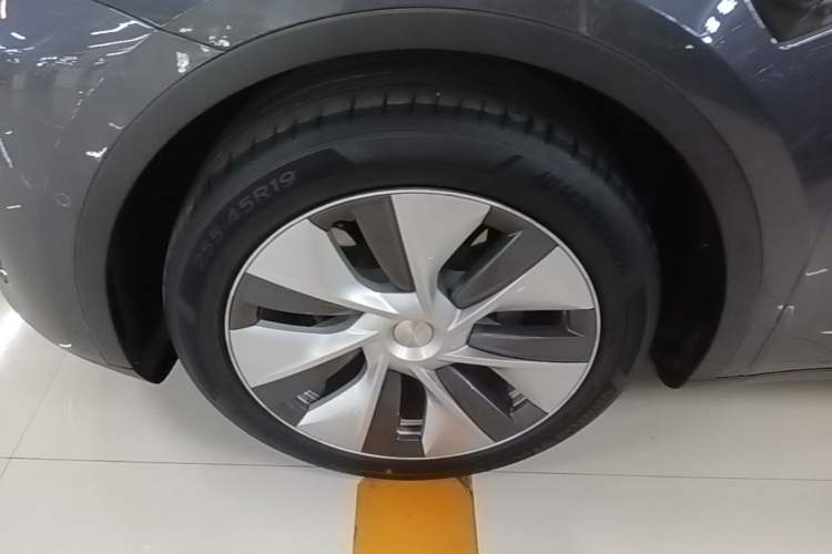 Used Tesla Model Y 2022 Long-Range All-Wheel-Drive Version Exterior 4
