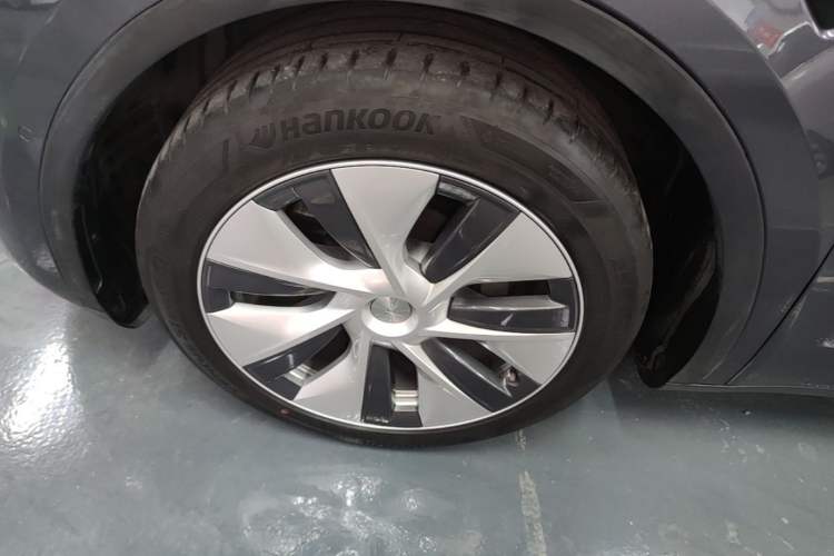 Used Tesla Model Y 2022 Rear-Wheel-Drive Version Exterior 4