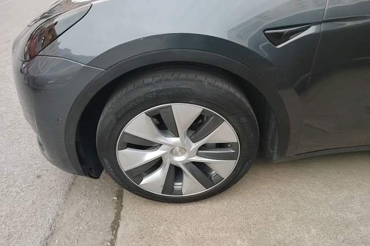 Used Tesla Model Y 2022 Revised Version Rear-Wheel Drive Exterior 4