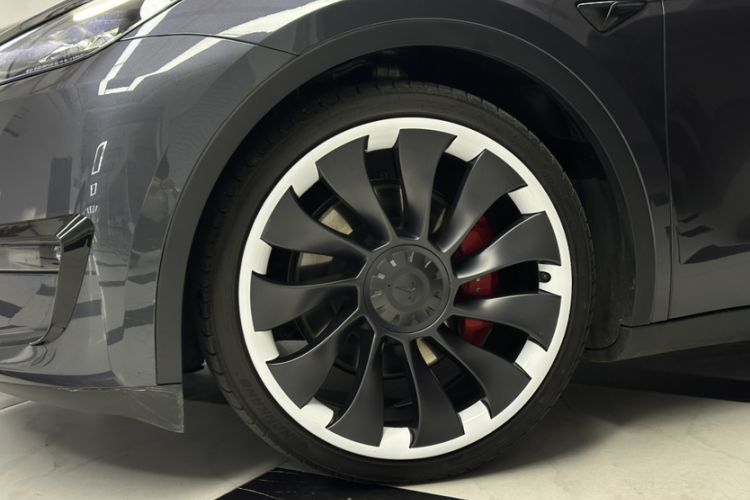 Used Tesla Model Y 2022 Performance High-Performance All-Wheel-Drive Version Exterior 5