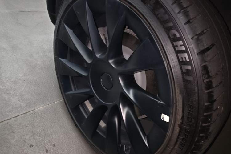 Used Tesla Model Y 2022 Rear-Wheel-Drive Version Exterior 5