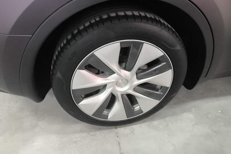 Used Tesla Model Y 2022 Rear-Wheel-Drive Version Exterior 5