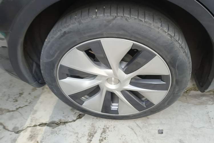 Used Tesla Model Y 2022 Rear-Wheel-Drive Version Exterior 5