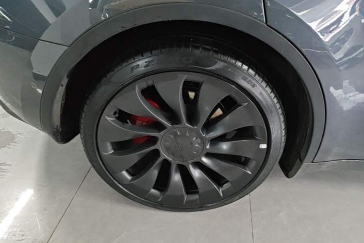 Used Tesla Model Y 2022 Performance High-Performance All-Wheel-Drive Version Exterior 5