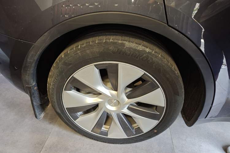 Used Tesla Model Y 2022 Rear-Wheel-Drive Version Exterior 5