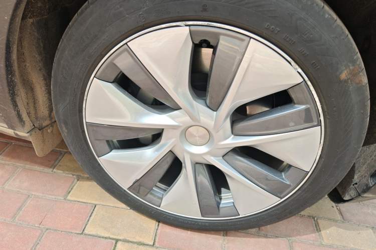 Used Tesla Model Y 2022 Rear-Wheel-Drive Version Exterior 7