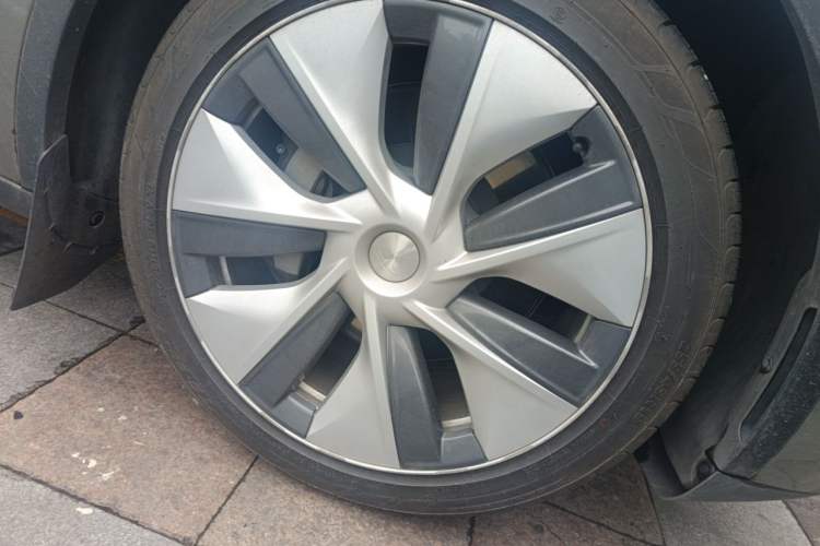 Used Tesla Model Y 2022 Rear-Wheel-Drive Version Exterior 7