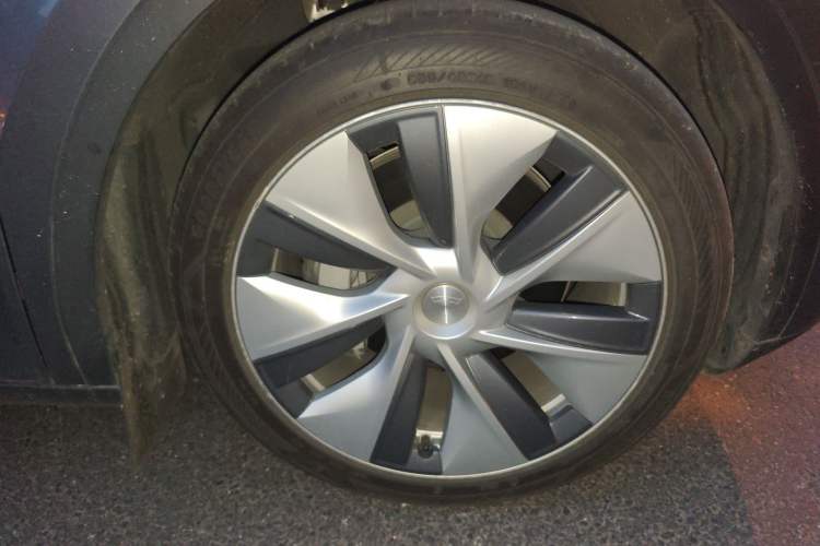 Used Tesla Model Y 2022 Revised Version Rear-Wheel Drive Exterior 7