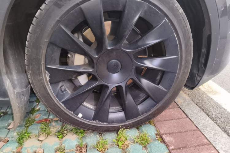 Used Tesla Model Y 2022 Rear-Wheel-Drive Version Exterior 7