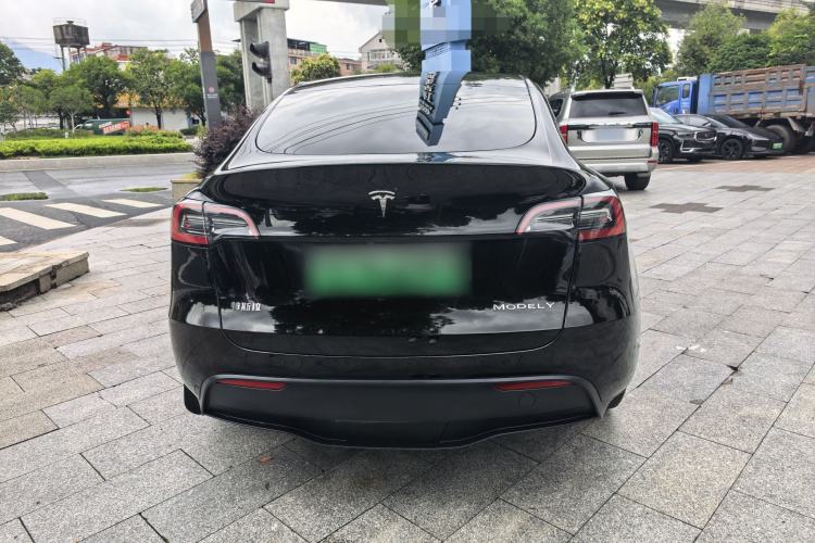 Used Tesla Model Y 2022 Revised Version Long-Range All-Wheel Drive Exterior 8