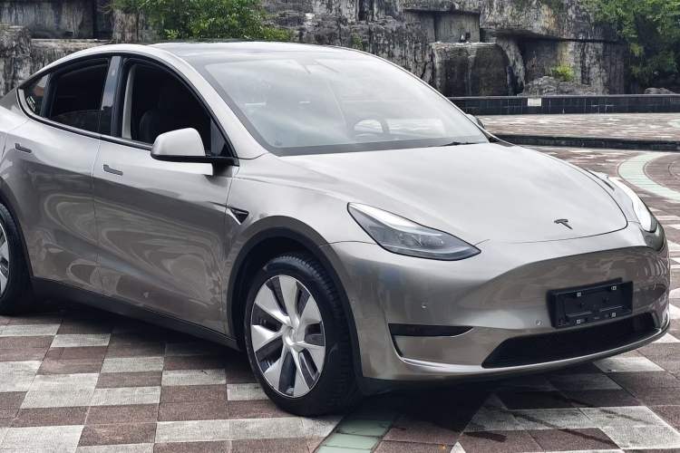 Used Tesla Model Y 2022 Rear-Wheel-Drive Version Exterior 8