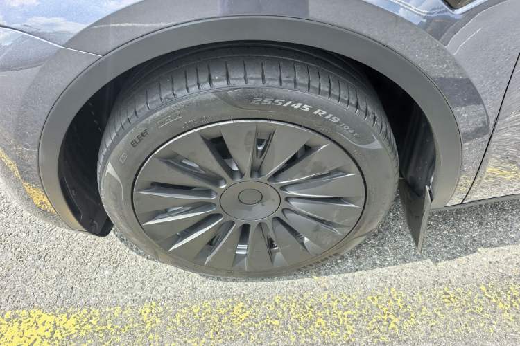 Used Tesla Model Y 2022 Rear-Wheel-Drive Version Exterior 9