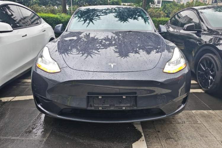Used Tesla Model Y 2022 Performance High-Performance All-Wheel-Drive Version Front